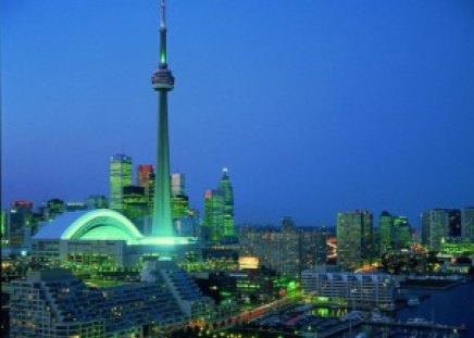 A night in Toronto - Toronto, Canada, lights, skyline, night, buildings, Ontario