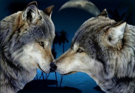 Wild about you - grey, white, brown, greeting, pair, meeting, wolves