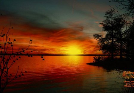 Amazing Sunset - sunsets, lakes, trees, water