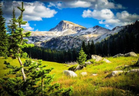 Eagle Crest, Oregon - fun, field, nature, mountain