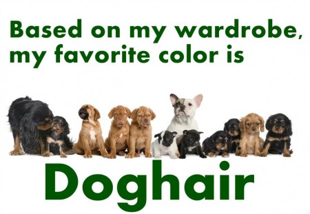 My favorite color - fun, doghair, saying, dogs, cute, dog, statement, quote