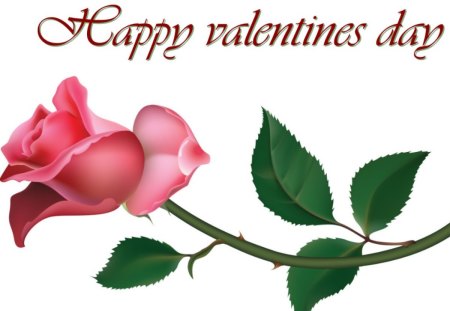 happy valentines day - love, message, pink, valentine, rose