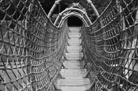 wonderful wood and rope bridge - black and white, rope, pedestrian, bridge