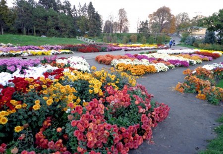 Flower Beds - colours, fowers, beds, garden