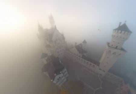 magical castle in the fog - fog, castle, towers, bird