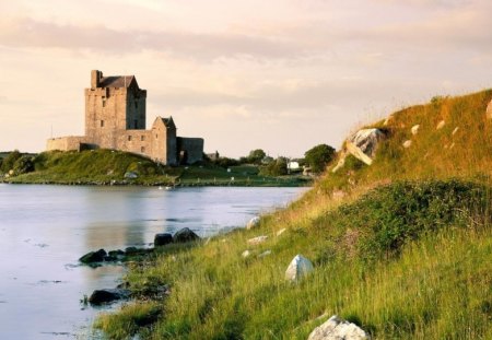 dunguaire castle in kinvara ireland - castle, ancient, shore, grass