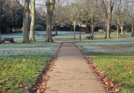 frosty Rochester - winter, gardens, rochester, frost