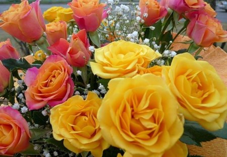 Wonderful  roses - red, pink, beautiful, flowers, bouquet, yellow, roses, natural, nature, colors, colorful