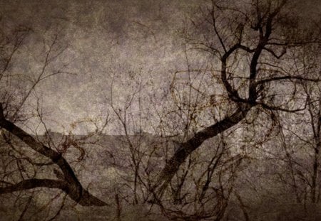 * - sepia, tree, trees, abstract