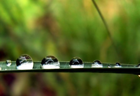 ❤ - nice, buble, water, green