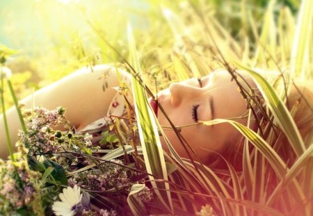 Dreamer - sunlight, dreamer, beautiful, photography, girl, beauty, grass, dream, flowers, nature, woman, dreaming, field