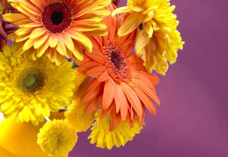 Beautiful flowers - petals, flowers, blooms, orange, yellow