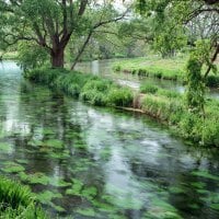 Green nature