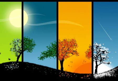 Seasons - pretty, trees, winter, summer, amazing, beautiful, windows, splendor, spring, night, lovely, season, autumn, day