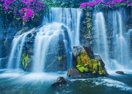 Amazing waterfalls - nature, water, waterfalls, flowers, rocks