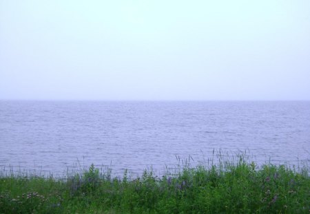 A nice view - water, sky, grass, blue