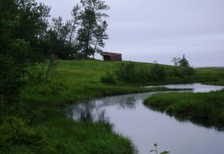 Untitle  - river, tree, green