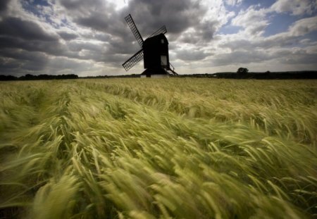 windmill - fields, nature, wheat, clouds, skies, field, windmill, wind