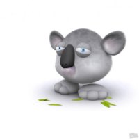 A Cute sweet Koala 4 u