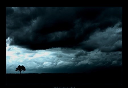 all alone! - clouds, lonely, glury, mad, tree, dark, nature, cloudy, sky