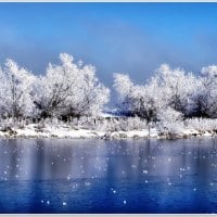 bluewhite-winter