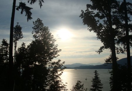 Nice View - tree, water, sunset, boat