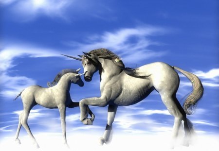 Father and Son Unicorns - horses, dad, horn, son, clouds, unicorn