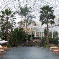 Winter Gardens 