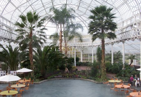 Winter Gardens  - peoples palace, glasgow, winter gardens