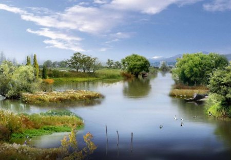 BEAUTY of NATURE - lake, trees, clouds, birds