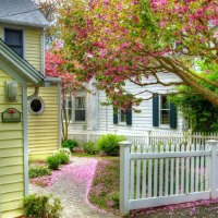 the house full of flowers