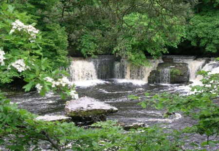 Aysgarth falls - pretty, trees, water, scenery