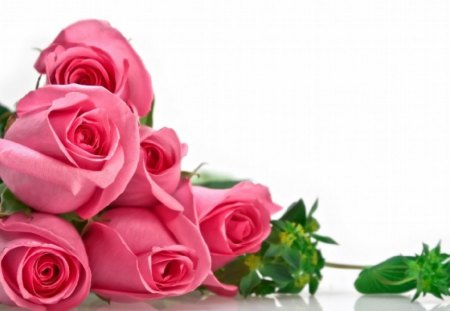 PINK BEAUTY - love, roses, bouquet, rose, bud, romantic, beautiful, pink, leaves, romance