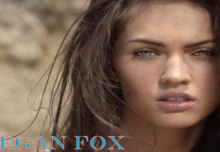 Megan Fox Wallpaper 2 - fox, megan fox, megan