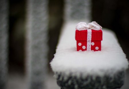 Holiday gift - holiday, gift, box, snow