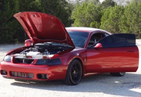 2003 Mustang Cobra - pony car, car, Ford Mustang, 2003 Ford Mustang, 2003 Mustang Cobra