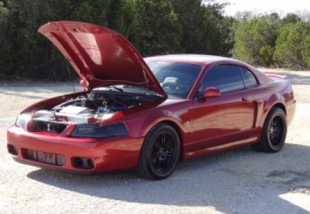 2003 Ford Mustang Cobra - 2003 ford mustang, 2003 ford mustang cobra, car, pony car