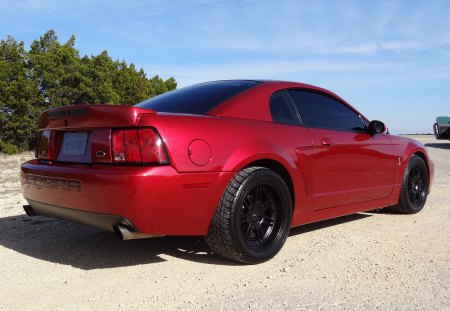 2003 Ford Mustang Cobra - pony car, cobra, mustang, Ford Mustang, ford