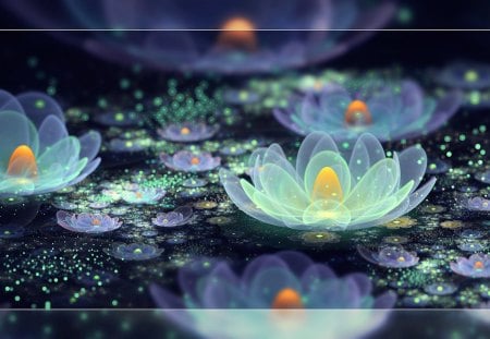 Lotus Pond - colorful, lotus, pond, sparkly