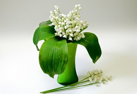 A special bouquet - white, lily of the valley, green, bouquet, flowers