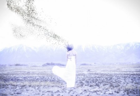 Woman in white fields - white, fields, girl, abstract, art