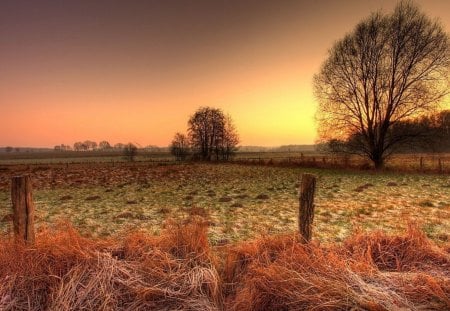 fields on an autumn sunset hdr