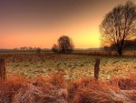 fields on an autumn sunset hdr