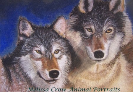 proud to be a wolves - proud, gorgeous, animals, wolves