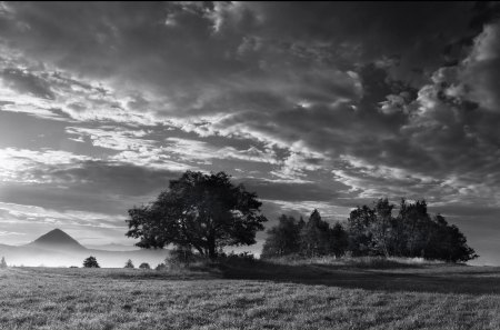 superb landscape - field, trees, mountain, clouds