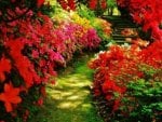 Brilliant Floral Walkway