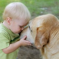 Boy and dog - friends