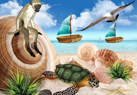 By the Sea - turtle, water, summer, monkey, sea