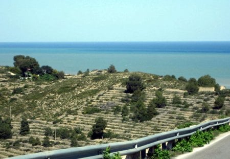 To the sea - oceans, nature, blue, water, green, road, sea