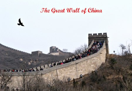 The Great Wall of China - china, great wall, hills, trees